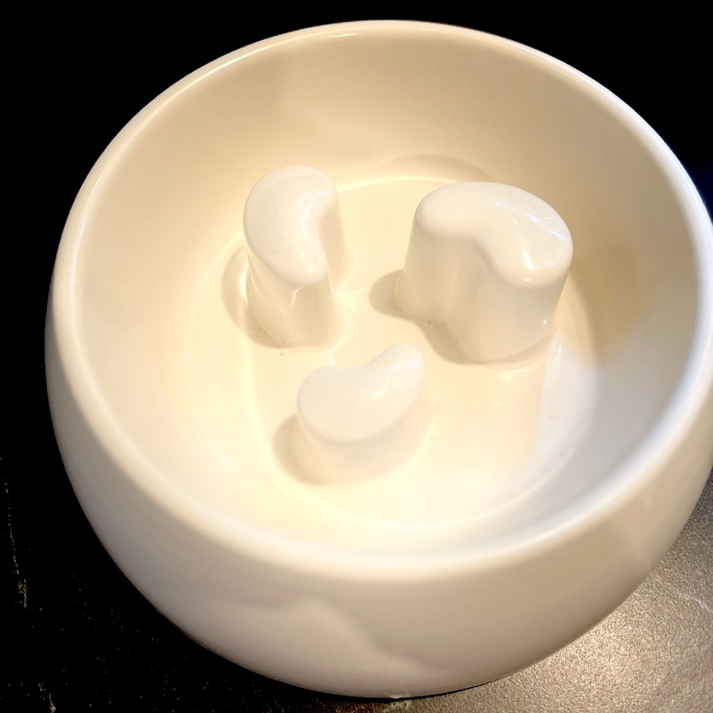 Slow feed pet bowl by Martha Stewart Pets, GUC.